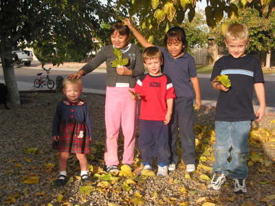 100_0073 (Medium)